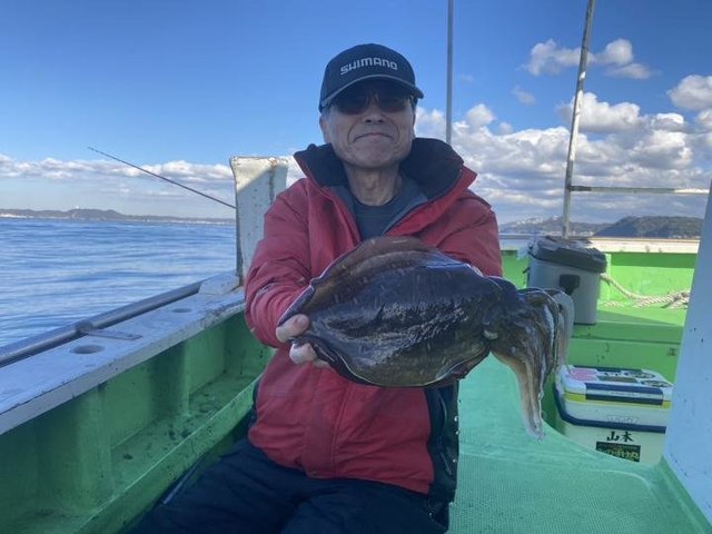 モンゴウ(カミナリイカ)