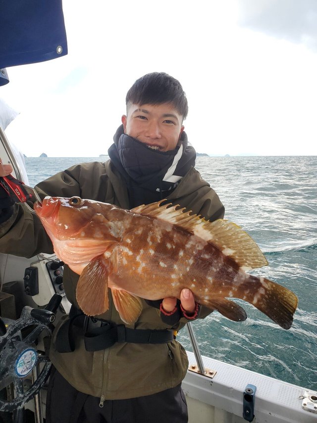 アコウ(キジハタ)