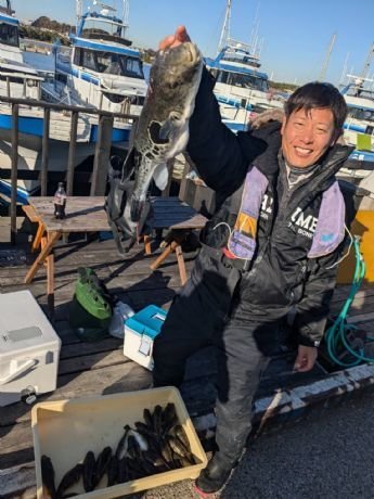 トラフグ・アカメフグ・コモンフグ・ショウサイフグ