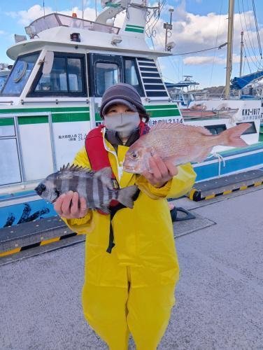 マダイ・イシダイ