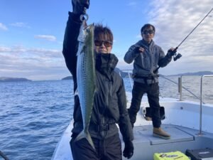 サゴシ(サワラ)