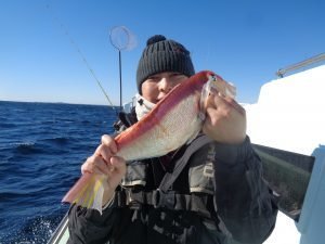 アマダイ(アカアマダイ)