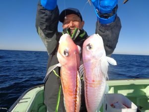 アマダイ(アカアマダイ)