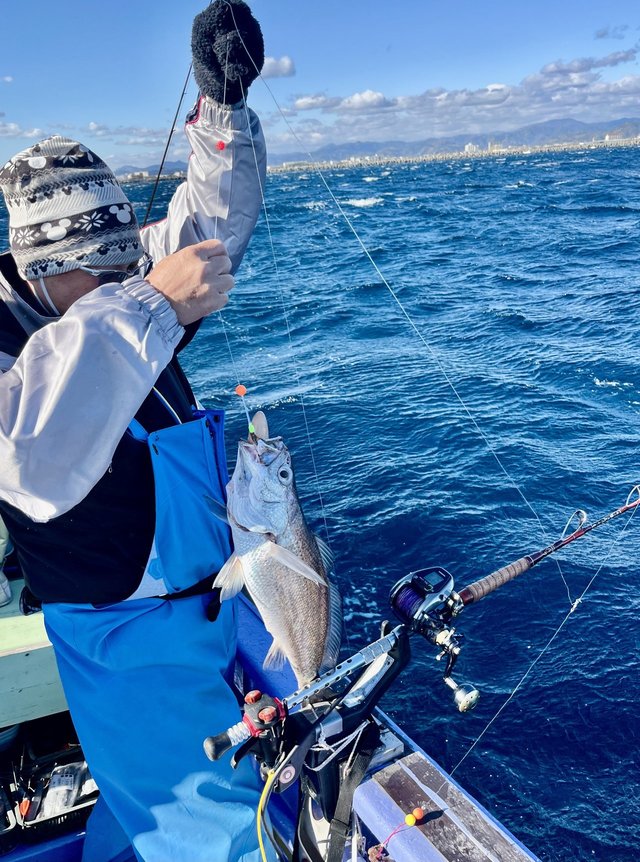 メイゴ(クログチ)