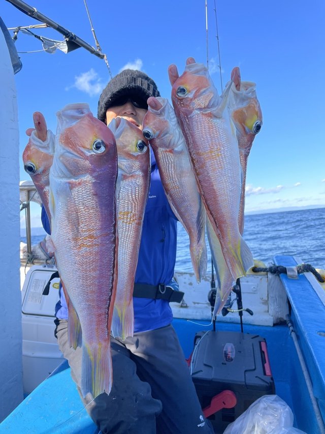 アマダイ(アカアマダイ)