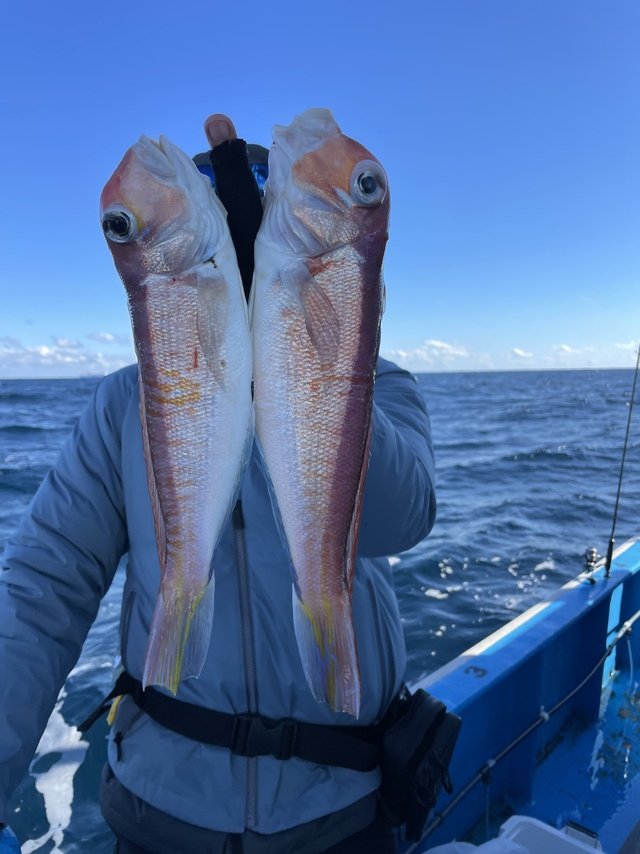 アマダイ(アカアマダイ)