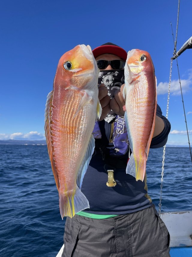 アマダイ(アカアマダイ)