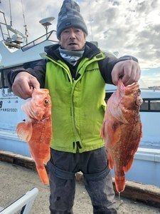 カンコ(ウッカリカサゴ)