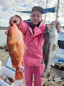 アラ・カンコ(ウッカリカサゴ)