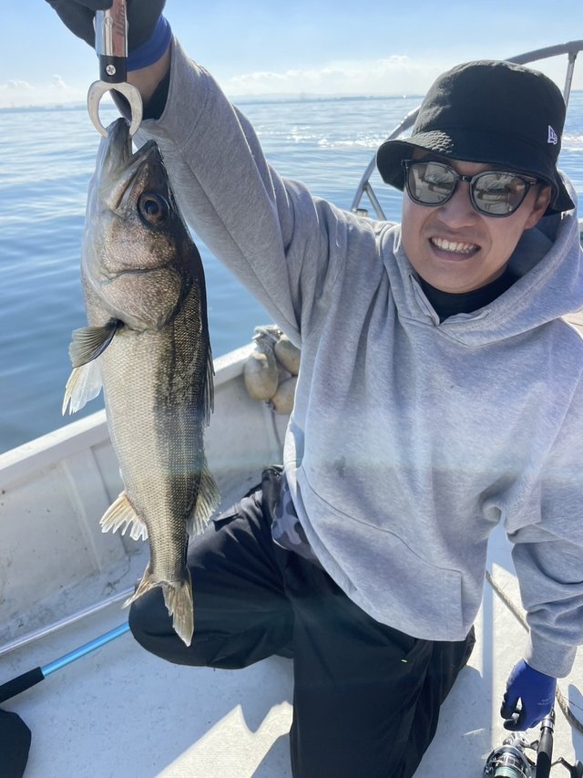 シーバス(スズキ)