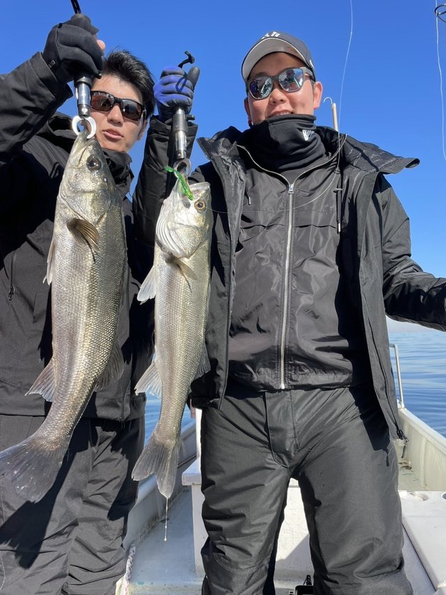 シーバス(スズキ)