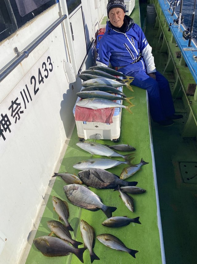 クロダイ・イナダ(ブリ)・ワラサ(ブリ)・イサキ