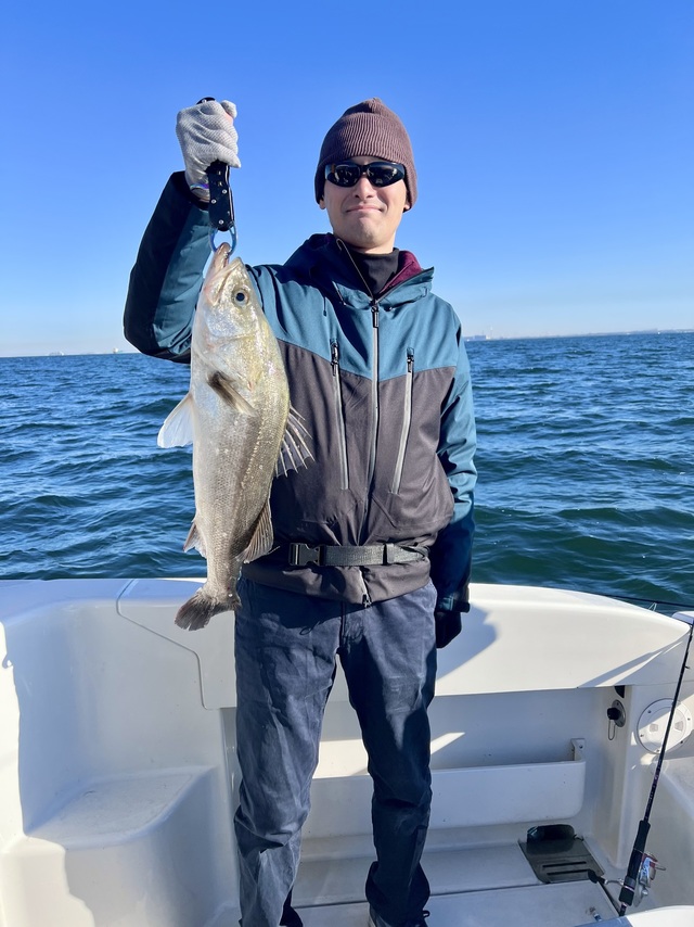 シーバス(スズキ)