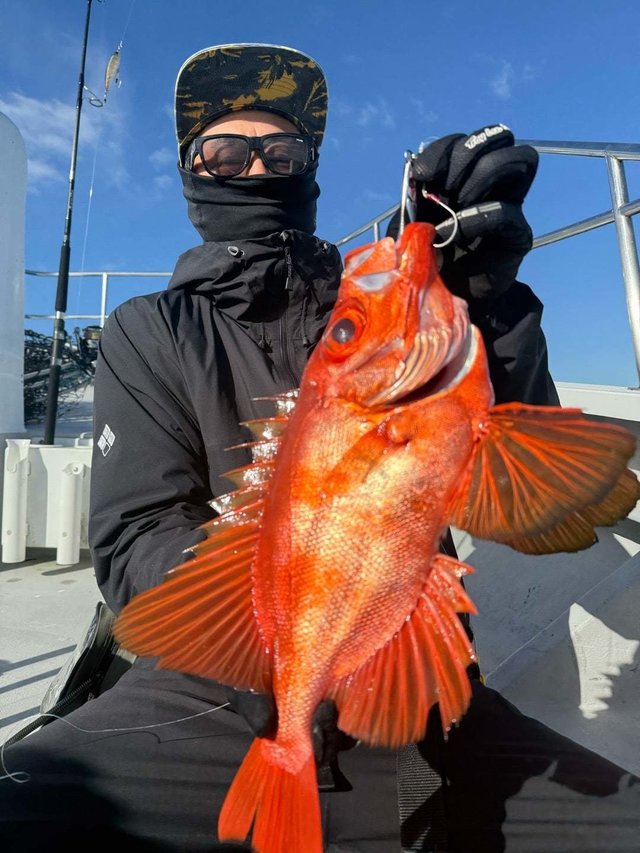 チカメキントキ