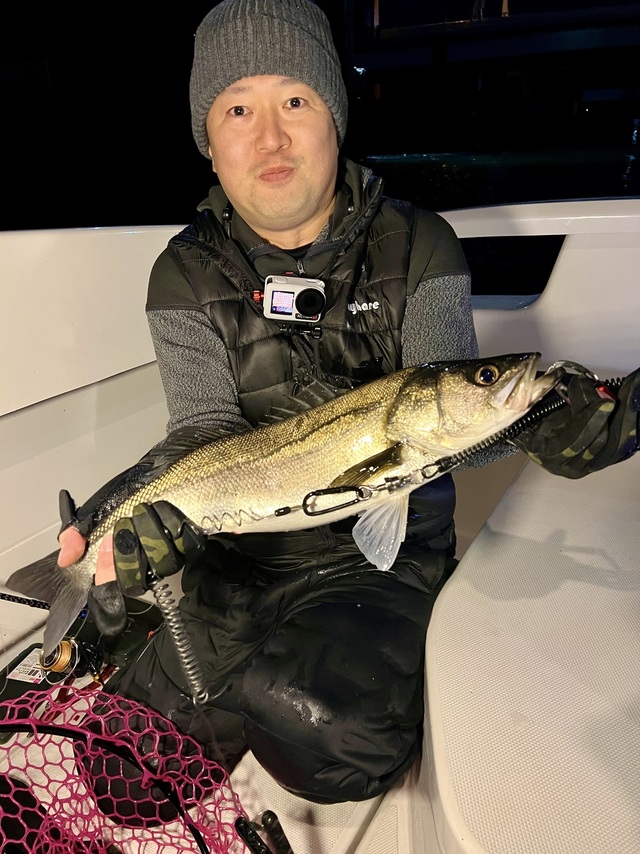 シーバス(スズキ)