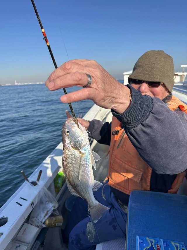 イシモチ(シログチ)