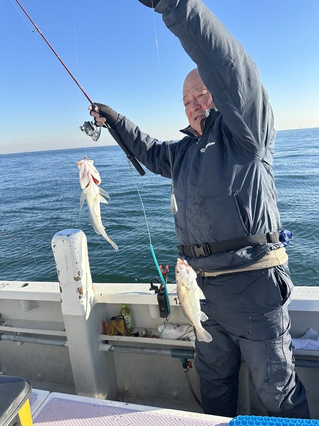 イシモチ(シログチ)