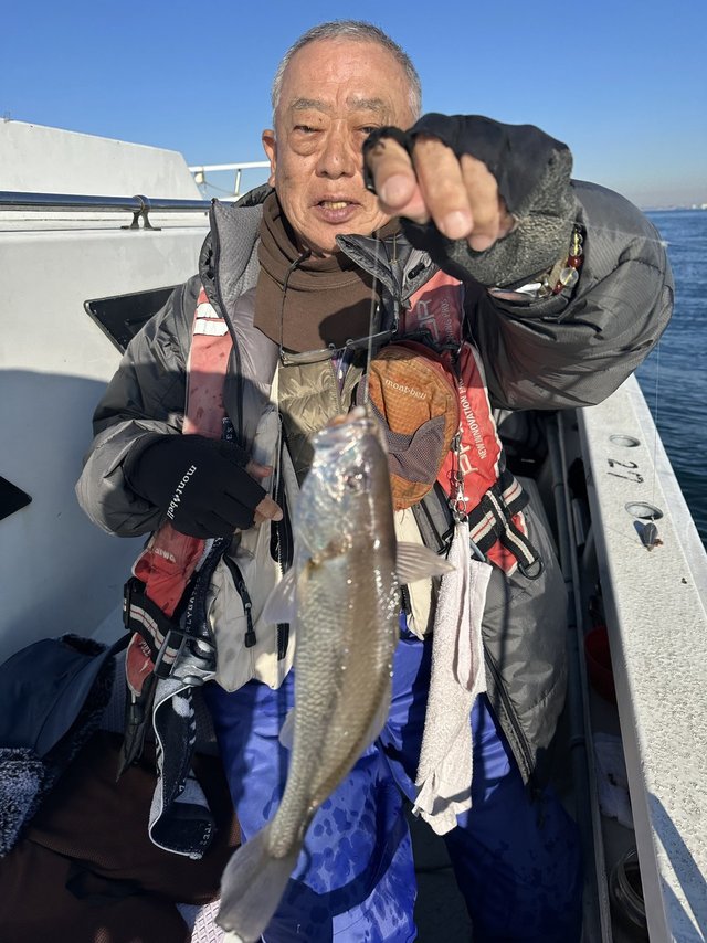 イシモチ(シログチ)