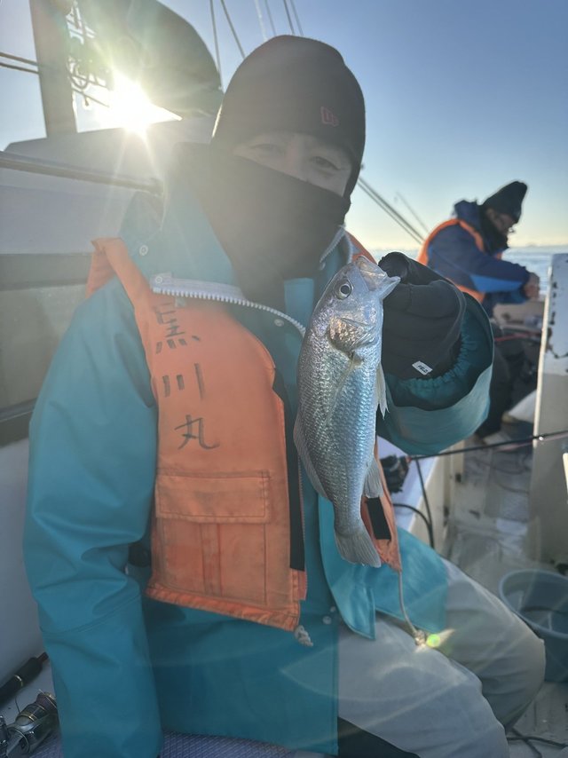 イシモチ(シログチ)