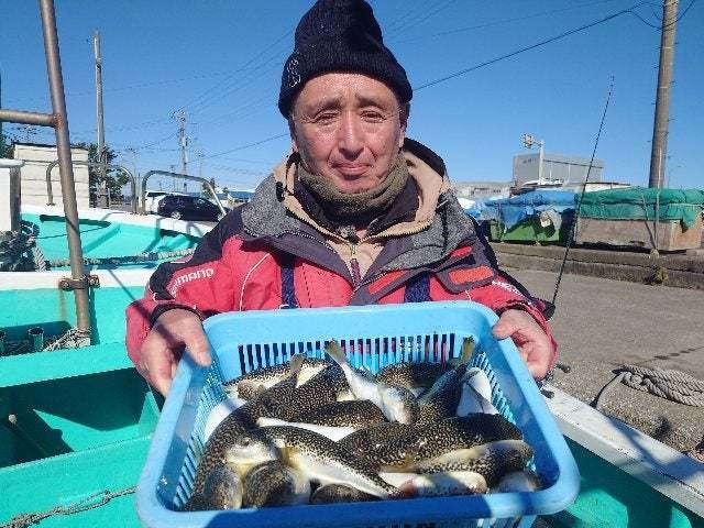 ショウサイフグ