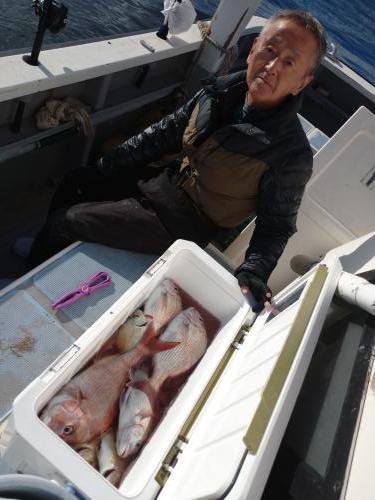 マダイ・カイワリ