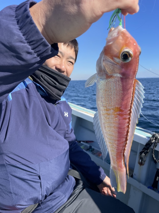 アマダイ(アカアマダイ)