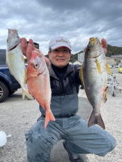 マダイ・イサキ