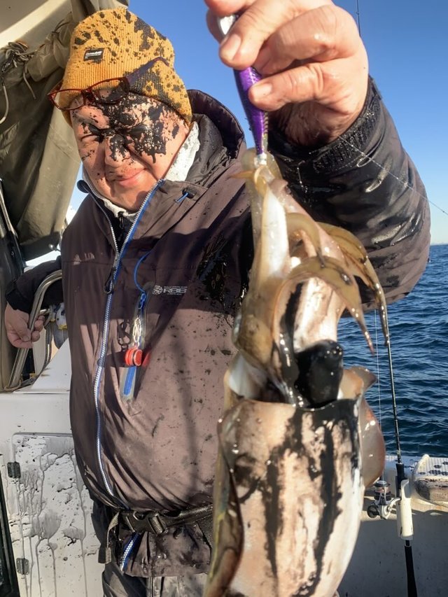 モンゴウ(カミナリイカ)