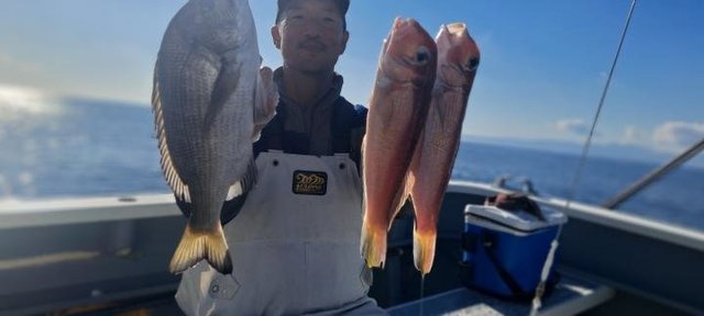 ハナダイ(チダイ)・アマダイ(アカアマダイ)