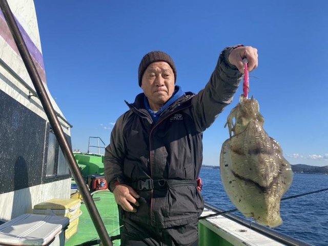 モンゴウ(カミナリイカ)