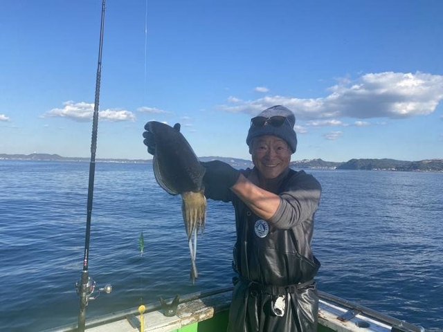 モンゴウ(カミナリイカ)