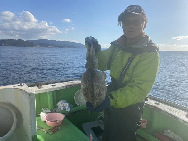 モンゴウ(カミナリイカ)