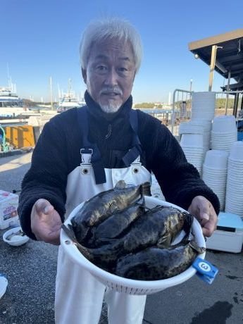 アカメフグ・コモンフグ・ショウサイフグ