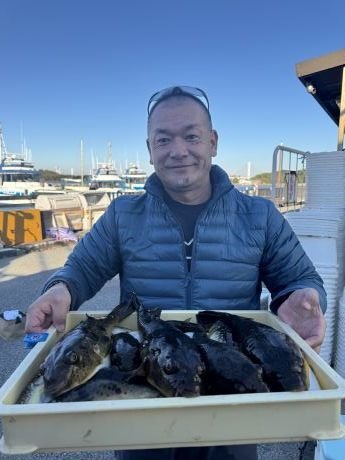 アカメフグ・コモンフグ・ショウサイフグ