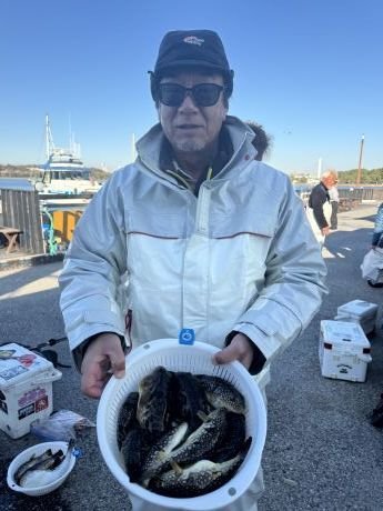 アカメフグ・コモンフグ・ショウサイフグ