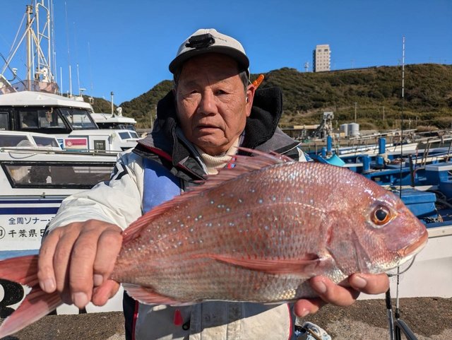 ハナダイ(チダイ)