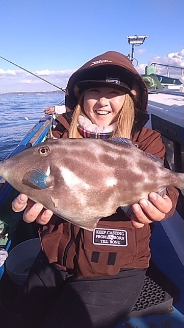 ウマズラハギ(ウマヅラハギ)