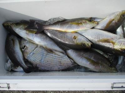 ヘダイ・アジ(マアジ)・イサギ(イサキ)