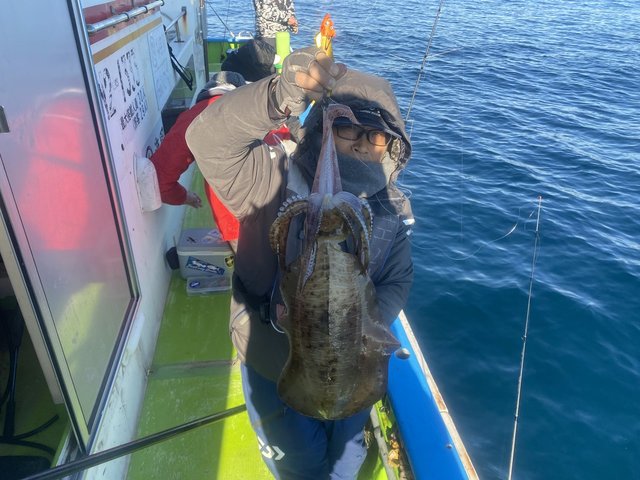 アオリ(アオリイカ)