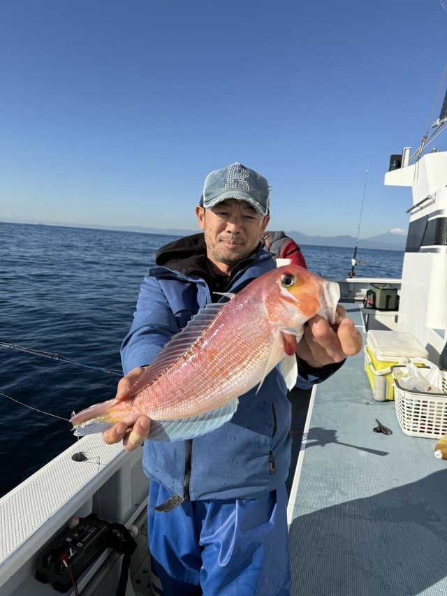 アマダイ(アカアマダイ)