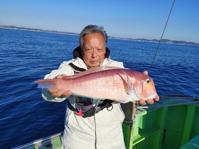 アマダイ(アカアマダイ)