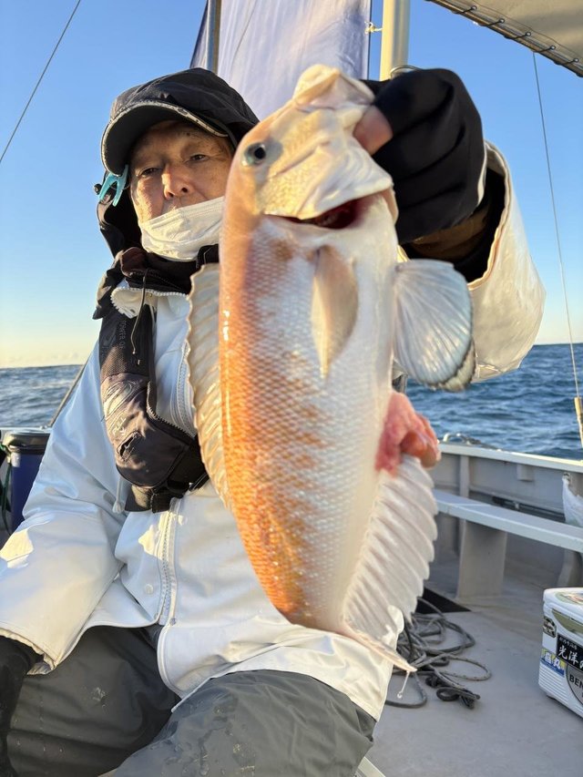 アマダイ(アカアマダイ)