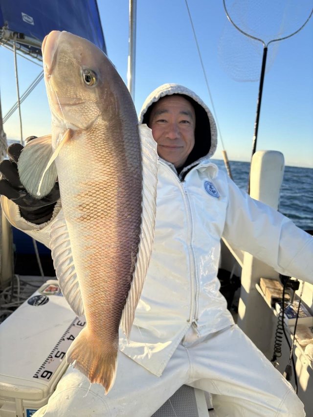 アマダイ(アカアマダイ)