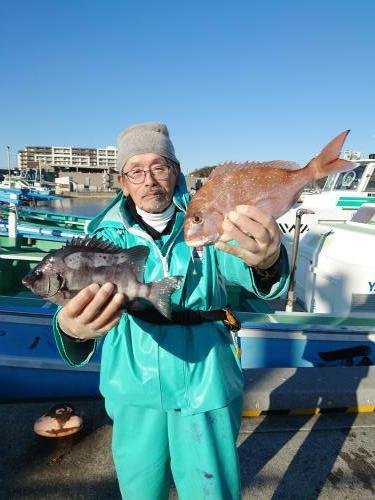 マダイ・イシダイ