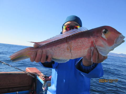 アマダイ(アカアマダイ)