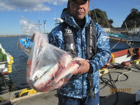 アマダイ(アカアマダイ)