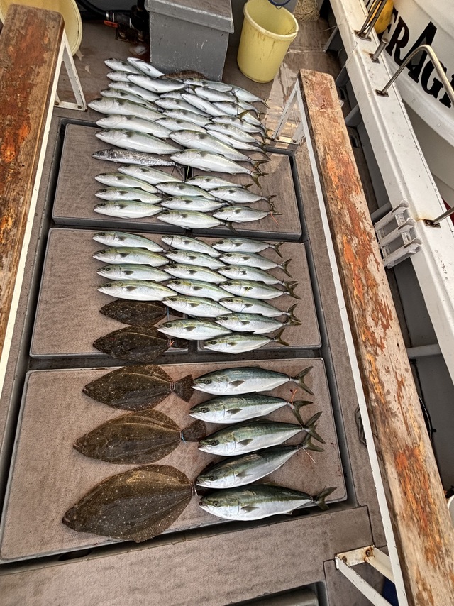 ブリ・ハマチ(ブリ)・サワラ・ヒラメ