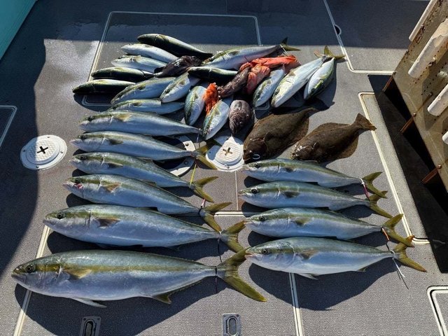 マハタ・アカハタ・ハマチ(ブリ)・ヒラマサ・ヒラメ