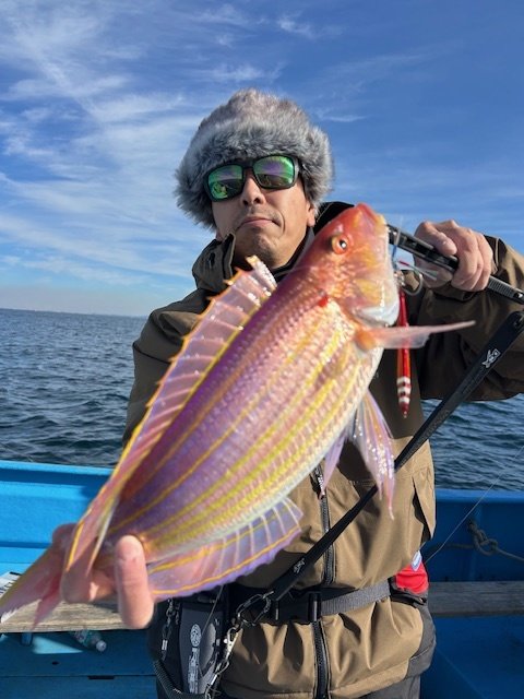 イトヨリ(イトヨリダイ)