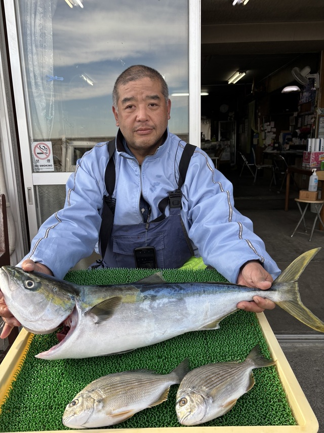 ヘダイ・ワラサ(ブリ)